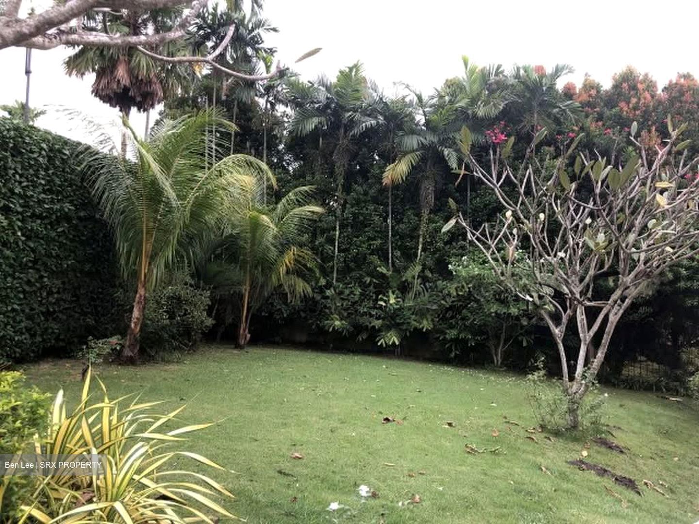 Peirce Road (D10), Detached #573901901
